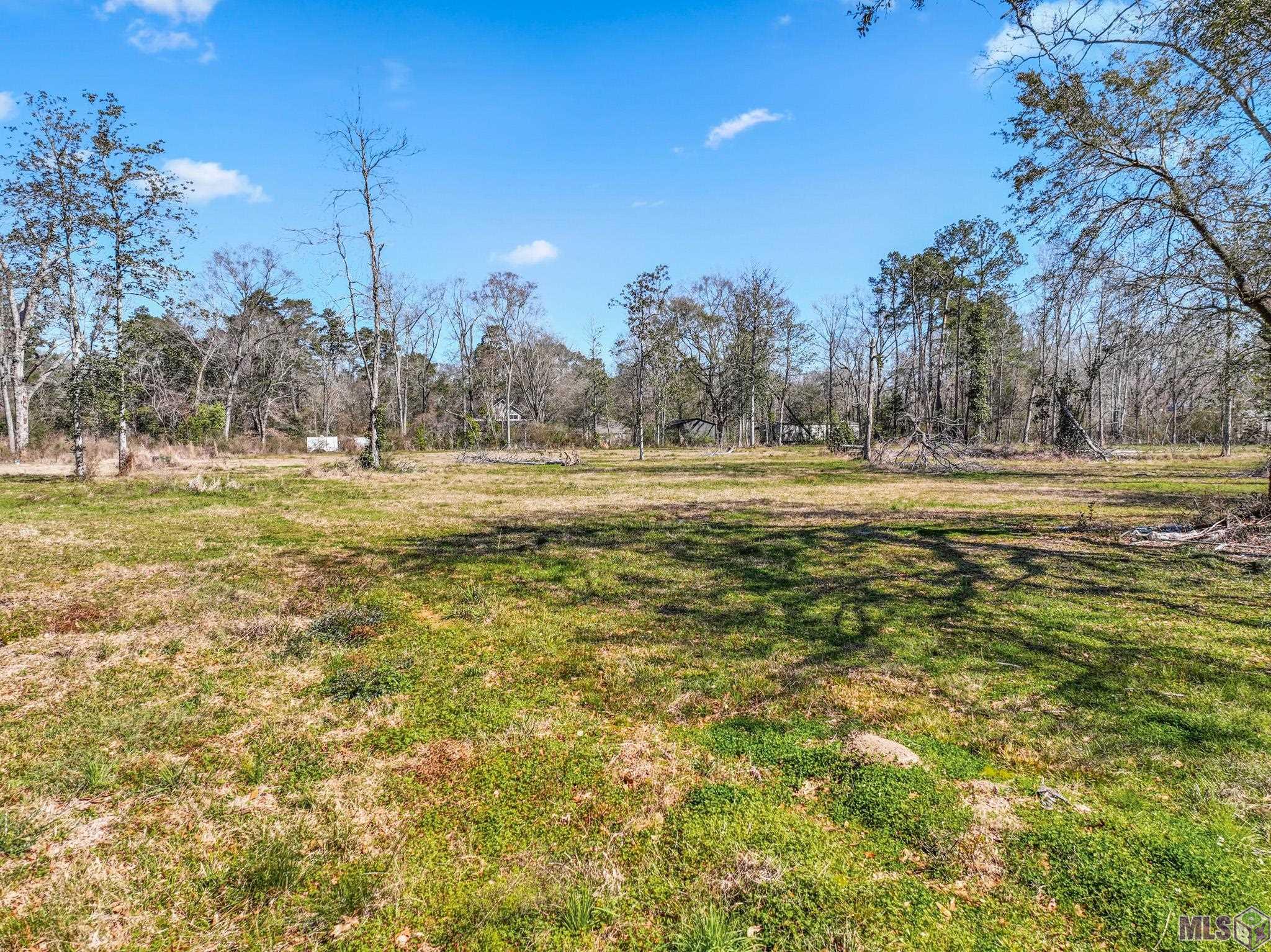 6987 Chandler Bluff Road Denham Springs, LA 70706 - Photo 7 of 11