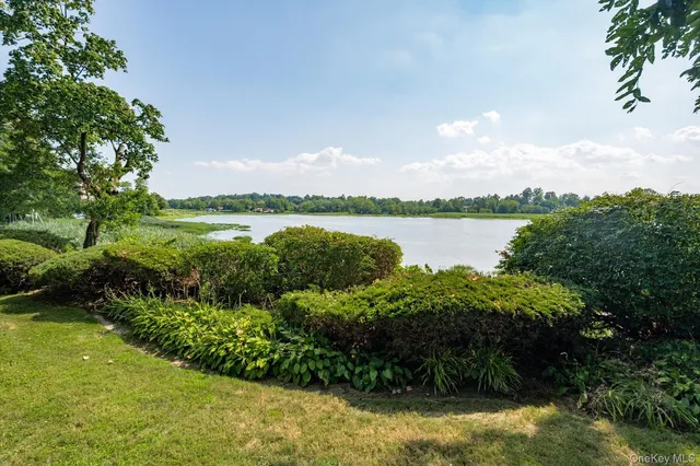 a view of a garden with a lake view