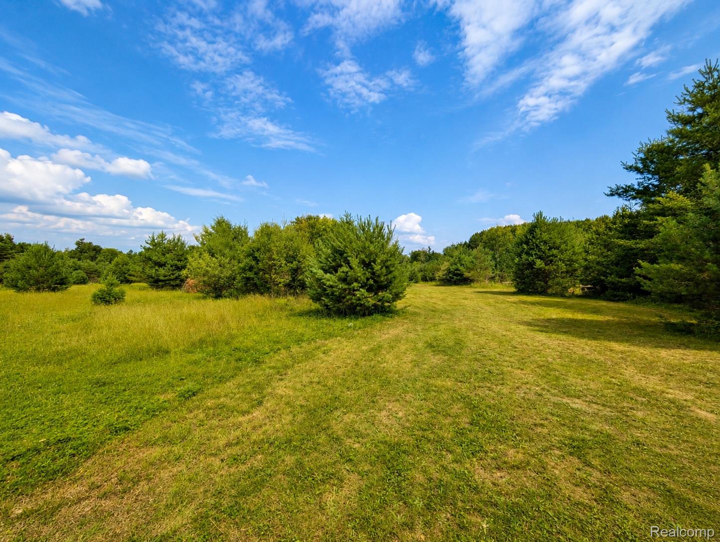 643 North Hockaday Road Gladwin, MI 48624 - Photo 22 of 24 Enhanced_Field_View.jpg