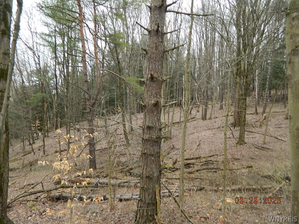 9999 Olean Road Holland, NY 14080 - Photo 26 of 28