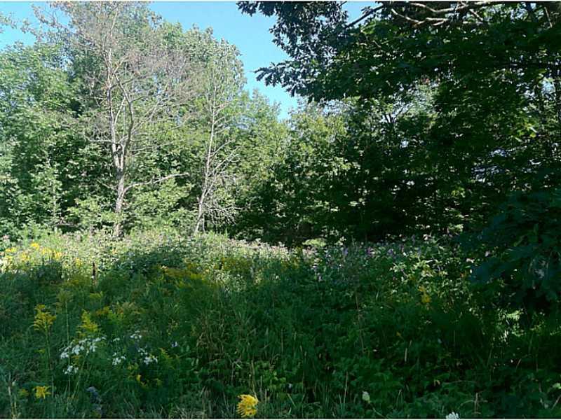 0 Hart Road Northport, ME 04849 - Photo 1 of 5 Land.