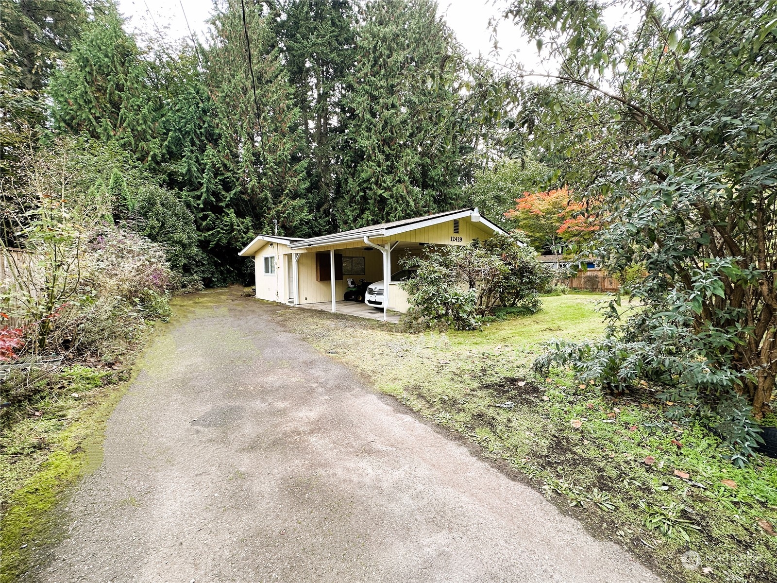 12429 Southeast 95th Way Renton, WA 98056 - Photo 15 of 15 a backyard of a house with large trees and plants