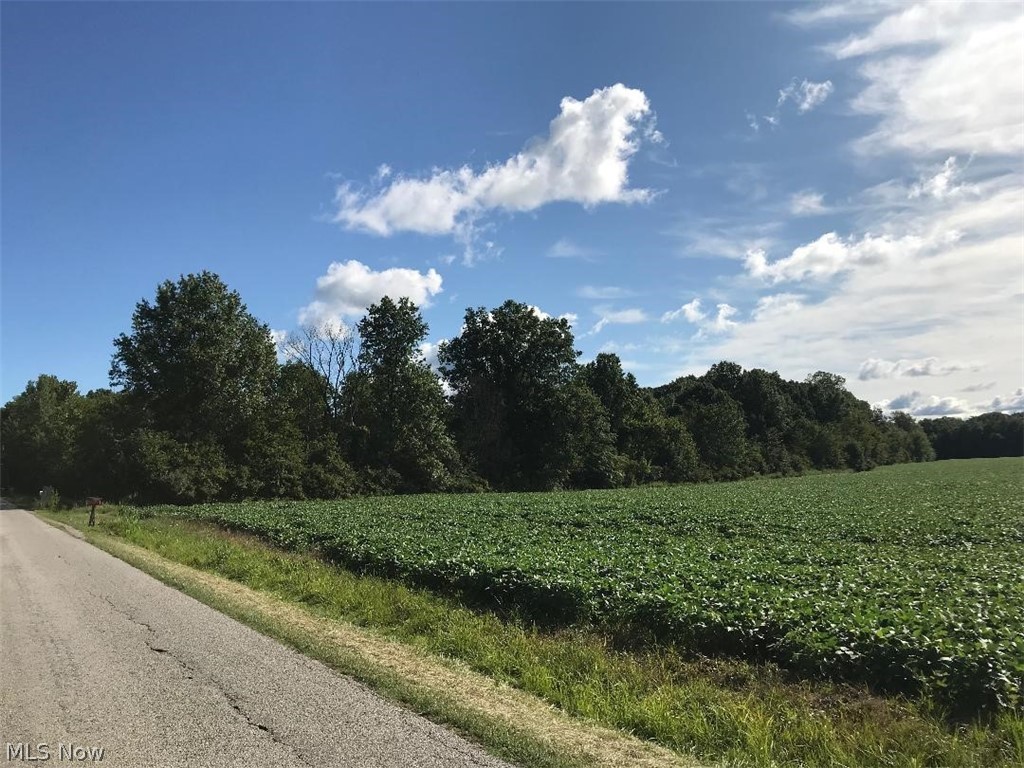 Angling Rd Road Wakeman, OH 44889 - Photo 2 of 2