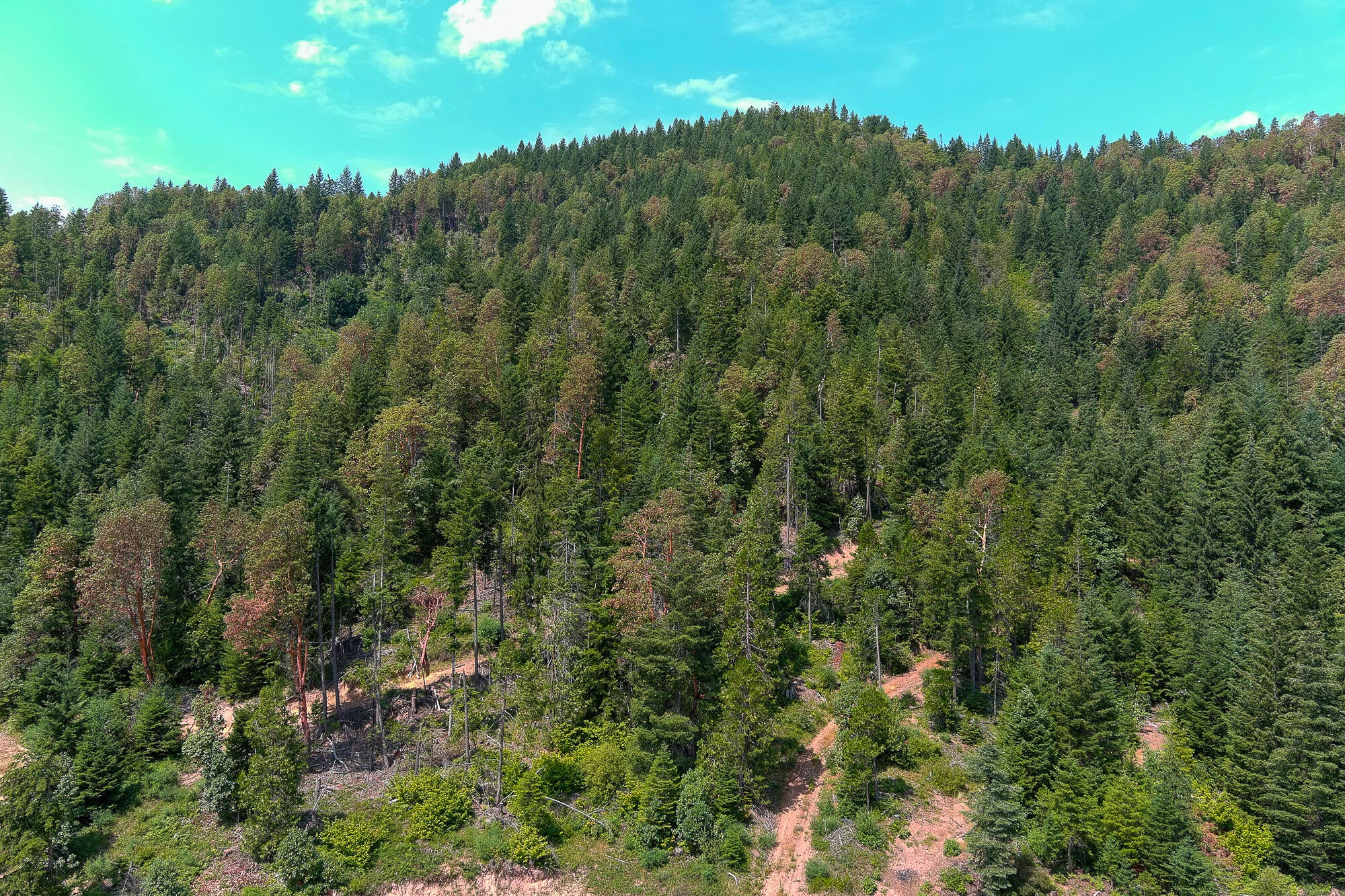 14083 Elk Creek Road Trail, OR 97541 - Photo 2 of 21 Pic 2