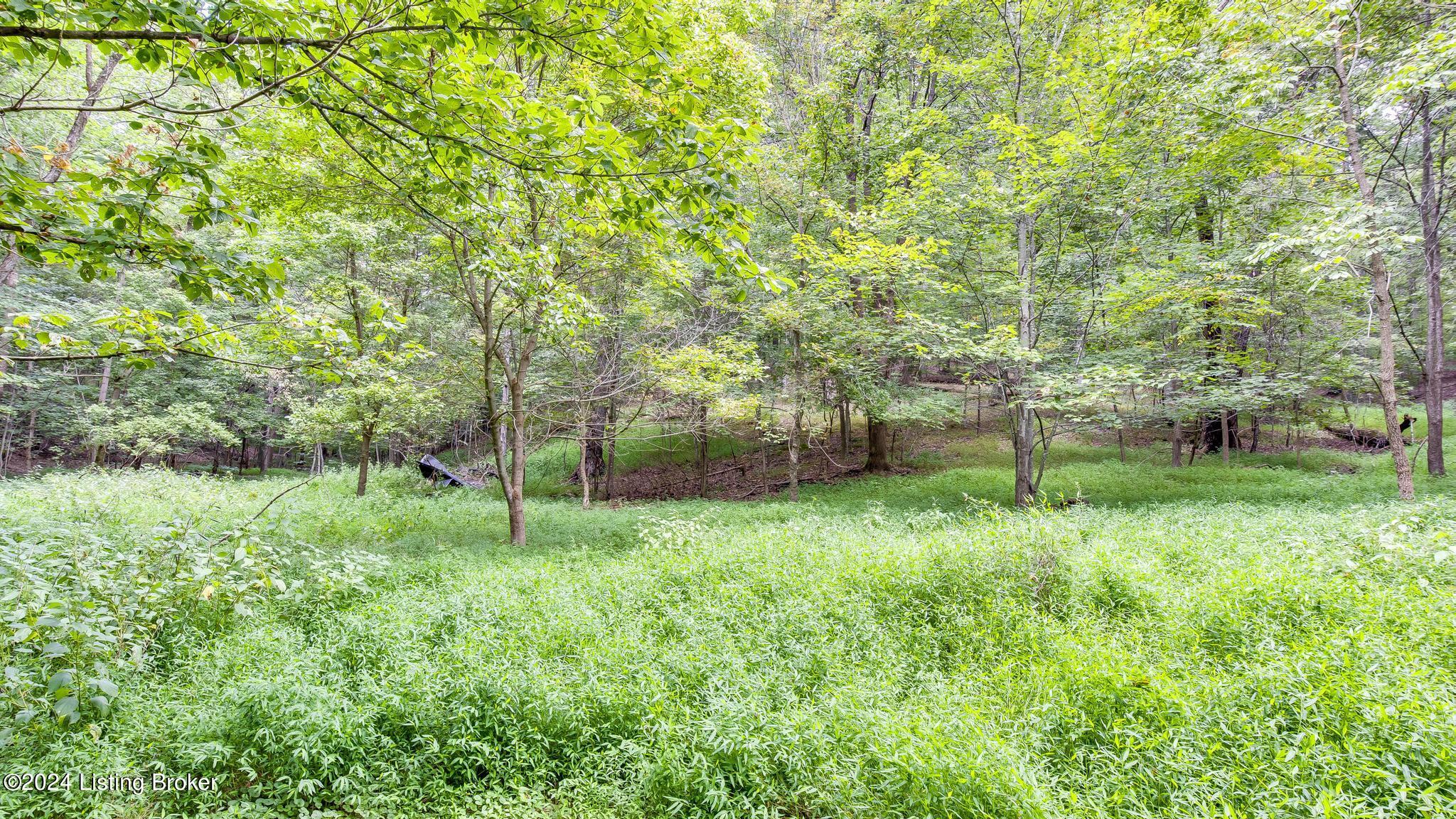 12901 Saw Mill Road Louisville, KY 40272 - Photo 39 of 58 12901_SawMillRd_40272_0135
