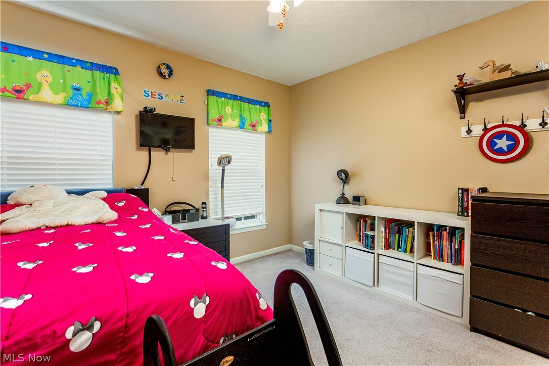 5231 Otten Road North Ridgeville, OH 44039 - Photo 21 of 35 Gallery Image 21