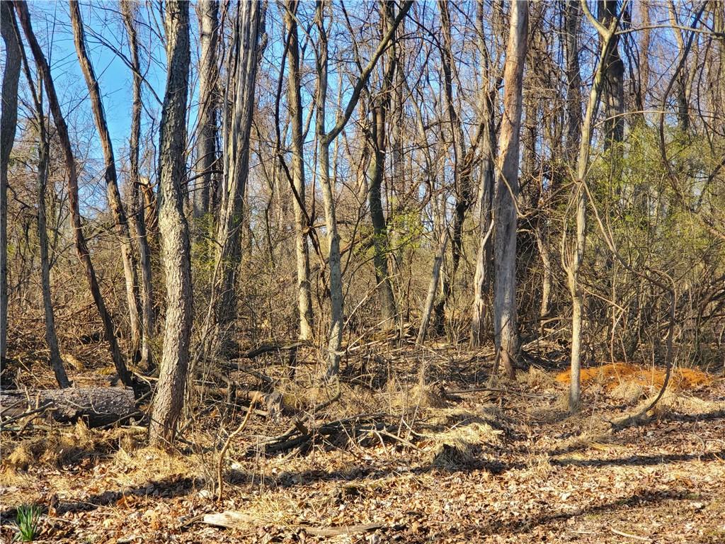 1230 Pinewood Road Irwin, PA 15642 - Photo 23 of 23 Gallery Image 23