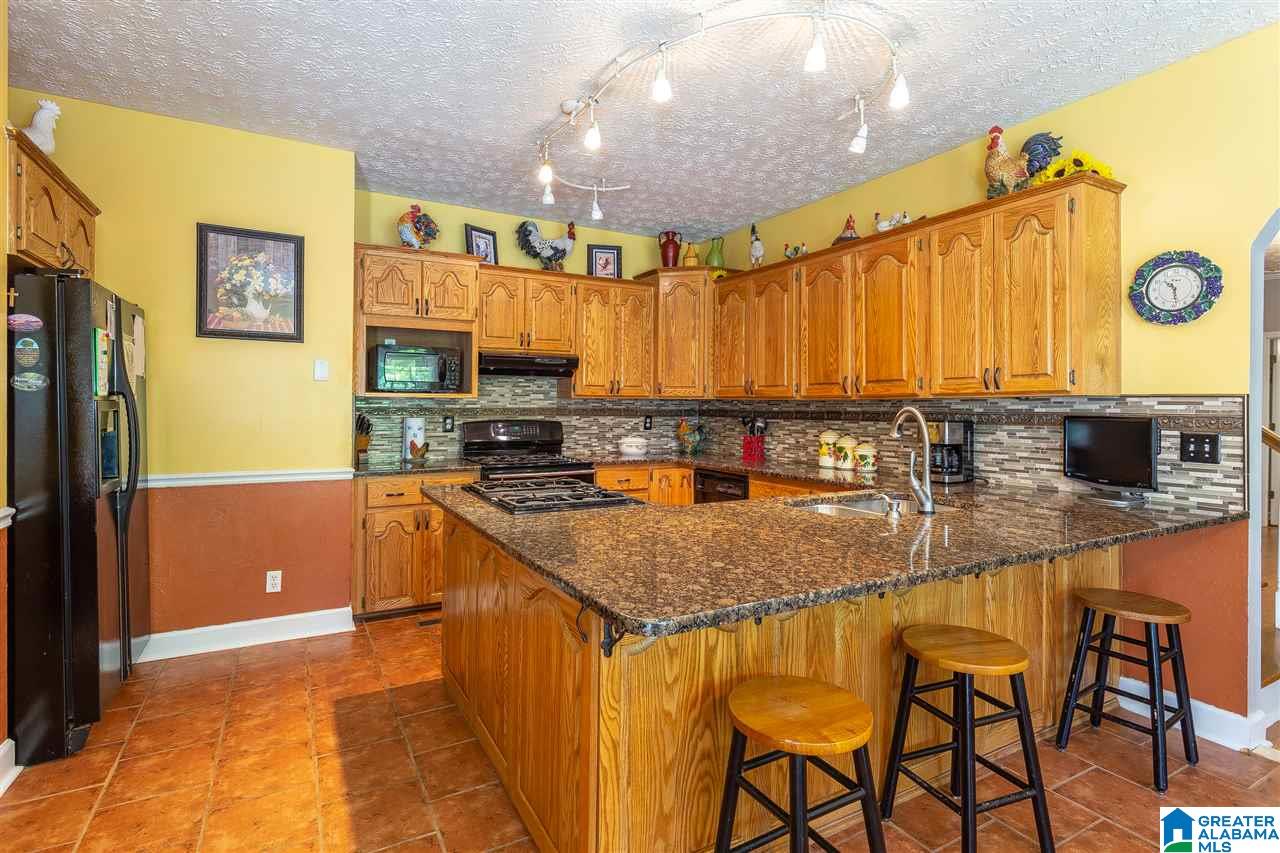 6674 Highway 431 Heflin, AL 36264 - Photo 3 of 50