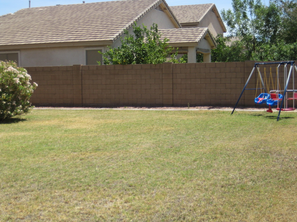 4221 East Patrick Court Gilbert, AZ 85295 - Photo 12 of 26 Backyard