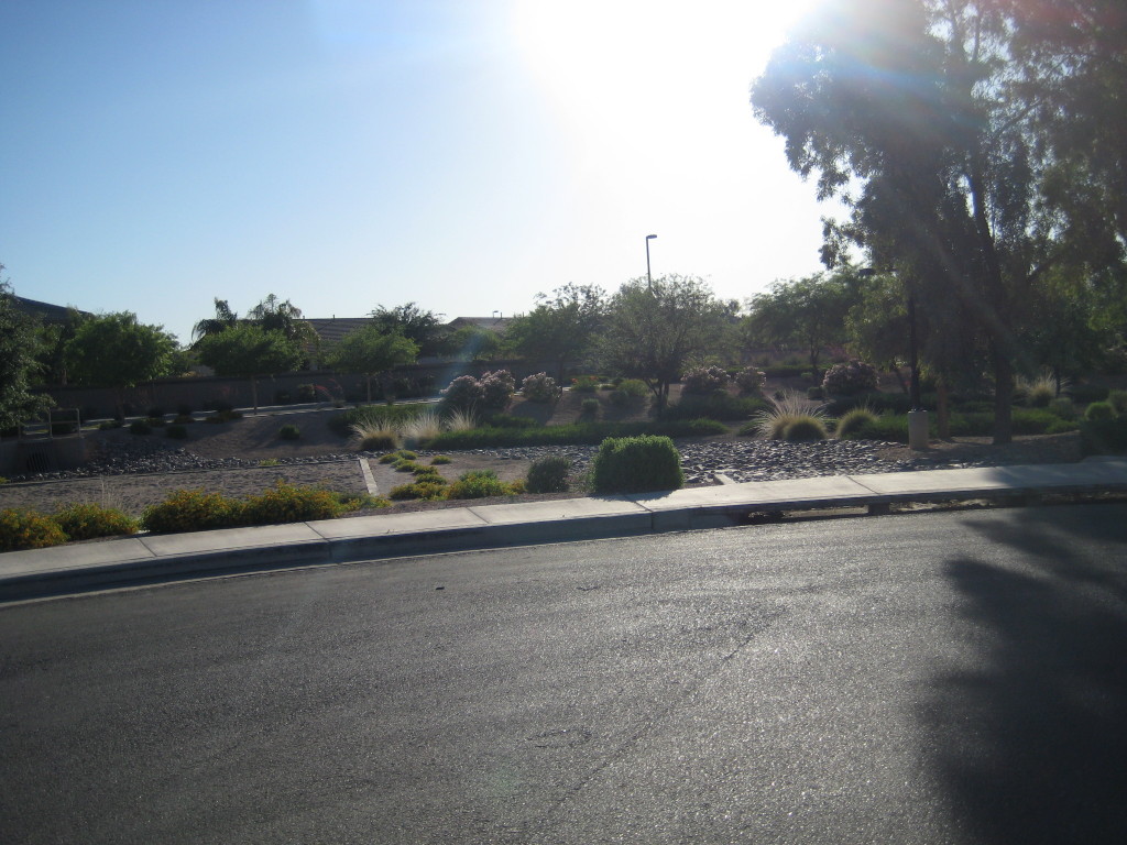 4221 East Patrick Court Gilbert, AZ 85295 - Photo 17 of 26 End of Street (Cul de Sac)