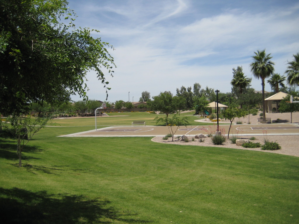 4221 East Patrick Court Gilbert, AZ 85295 - Photo 20 of 26 Another View of Large Neighborhood Park