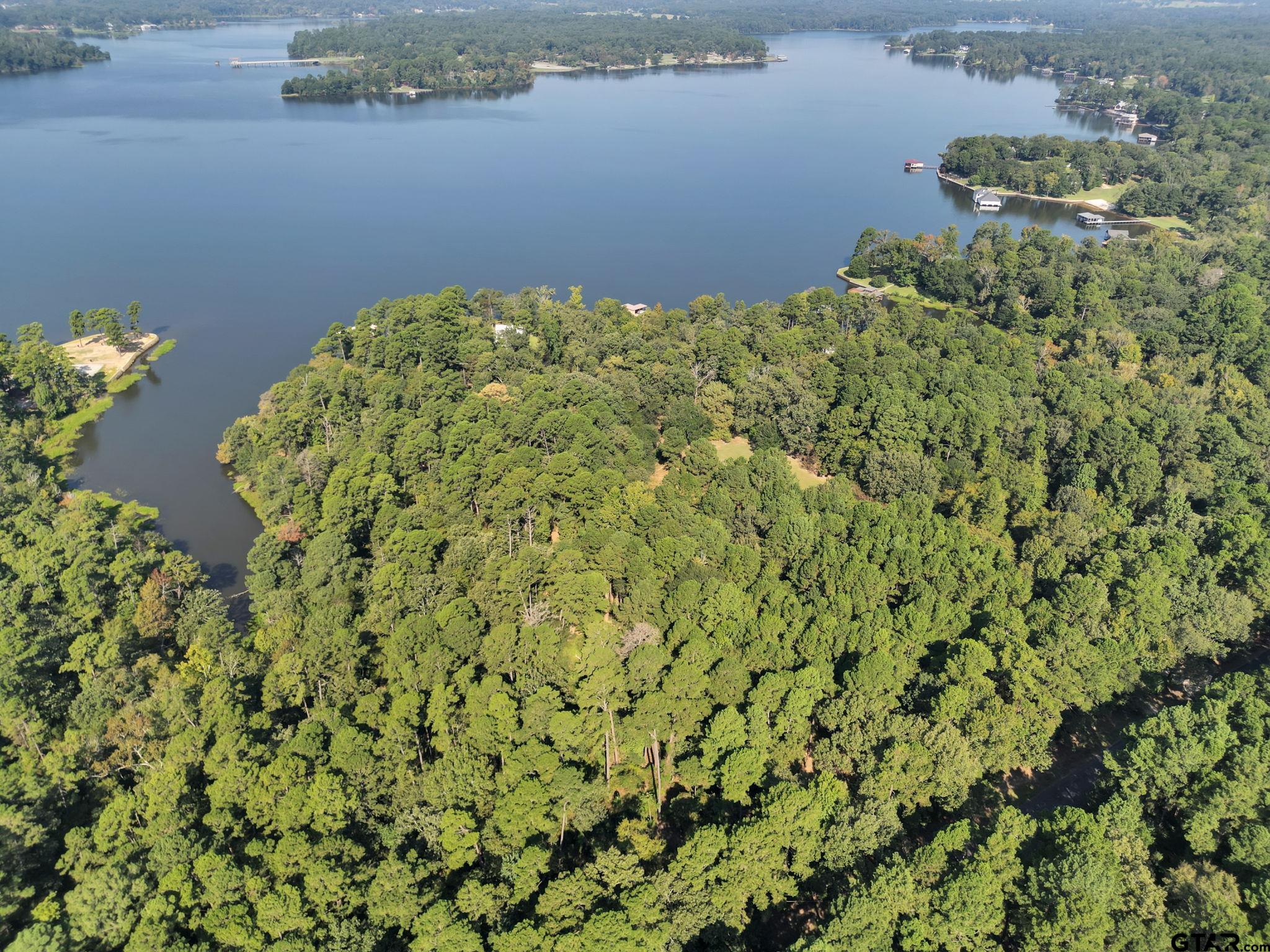 Lot 20 Eastside Road Tyler, TX 75707 - Photo 14 of 23 a view of a lake with a house