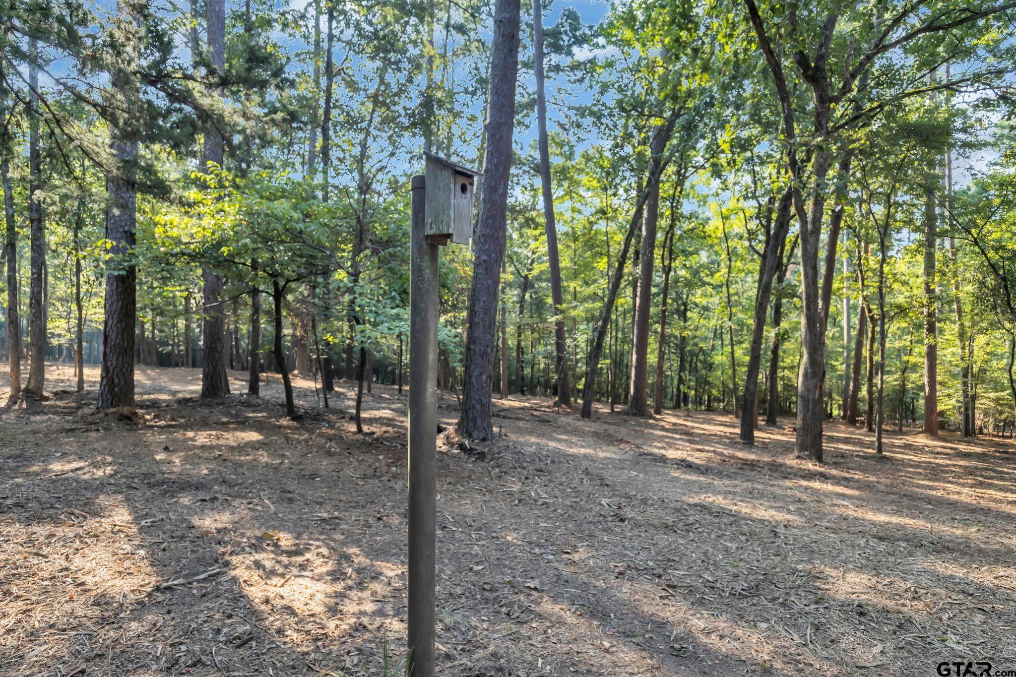 Lot 20 Eastside Road Tyler, TX 75707 - Photo 18 of 23 a view of a forest with trees