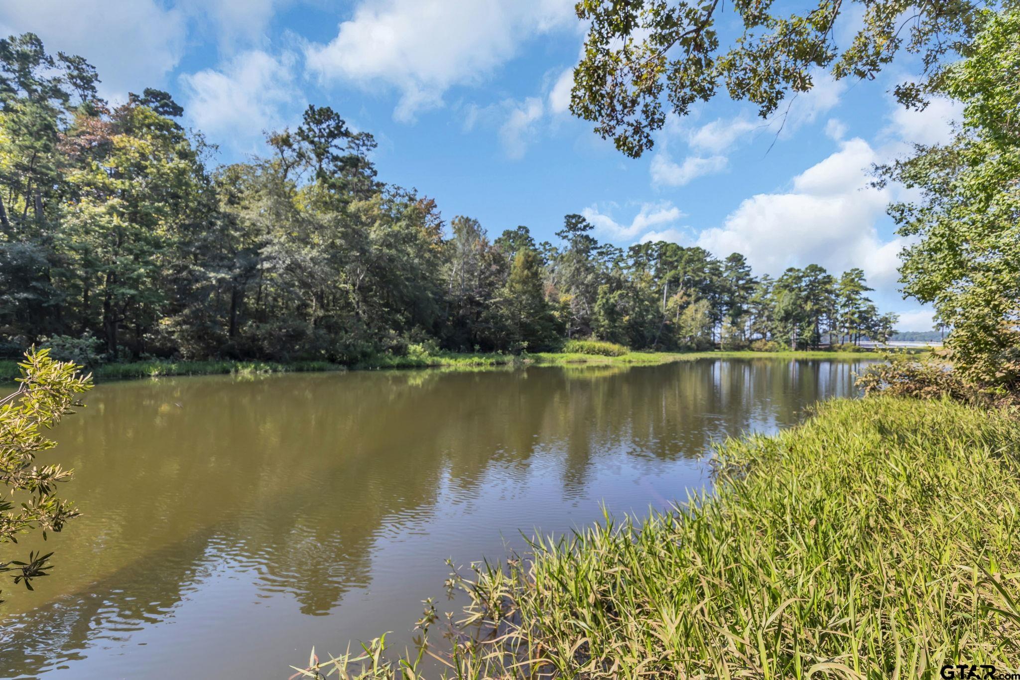 Lot 20 Eastside Road Tyler, TX 75707 - Photo 19 of 23 a view of a lake with a lake