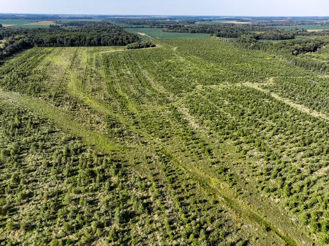 a view of a lake with a mountain