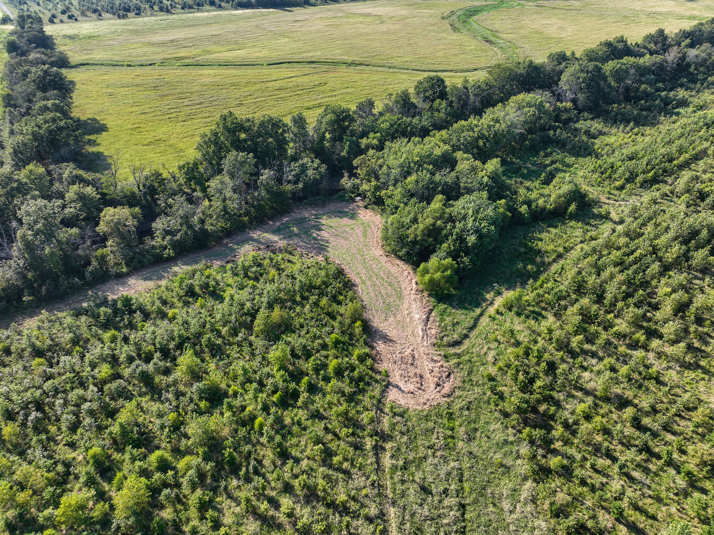 Tract 5 East Radio Tower Road Clay City, IL 62824 - Photo 12 of 30 a view of a lake with a garden