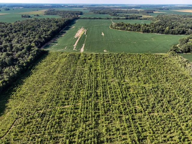 a view of a lake with a mountain