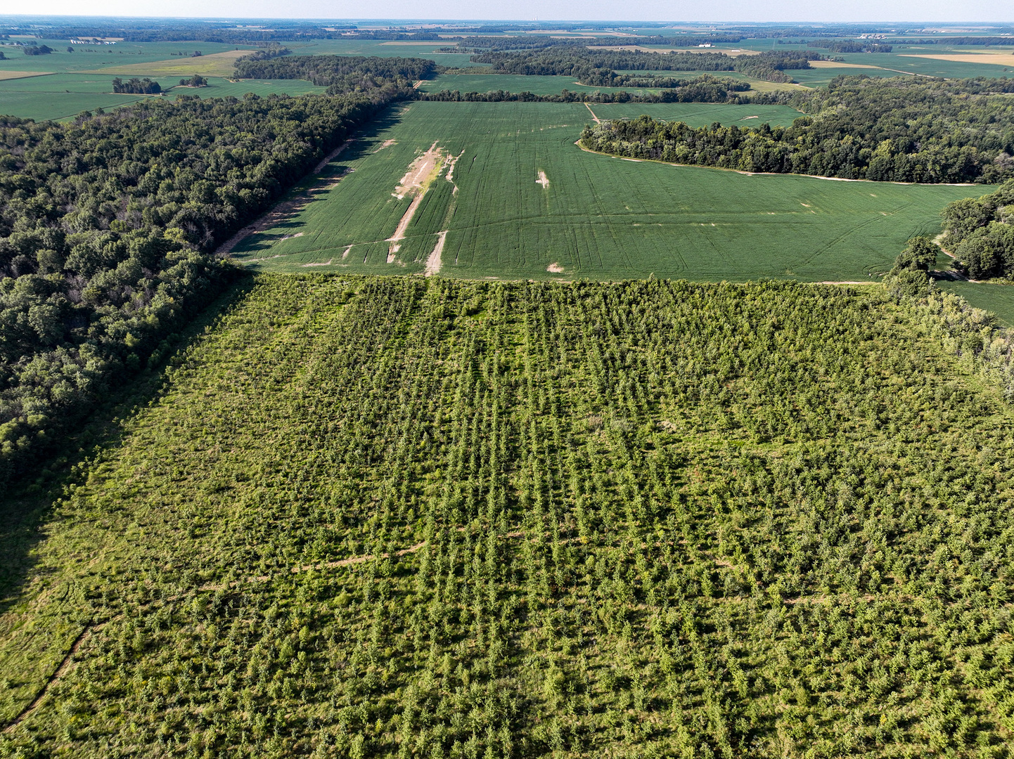 Tract 5 East Radio Tower Road Clay City, IL 62824 - Photo 13 of 30 a view of a lake with a mountain