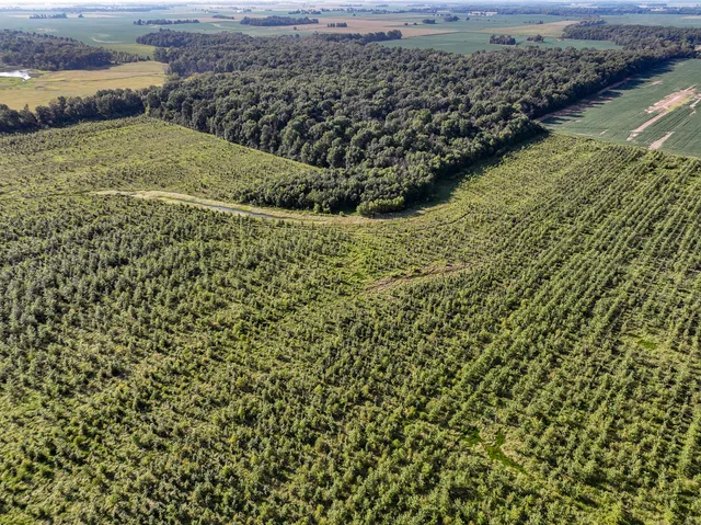 a view of a field with an ocean