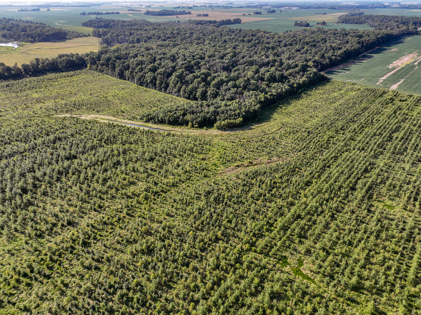Tract 5 East Radio Tower Road Clay City, IL 62824 - Photo 14 of 30 a view of a field with an ocean