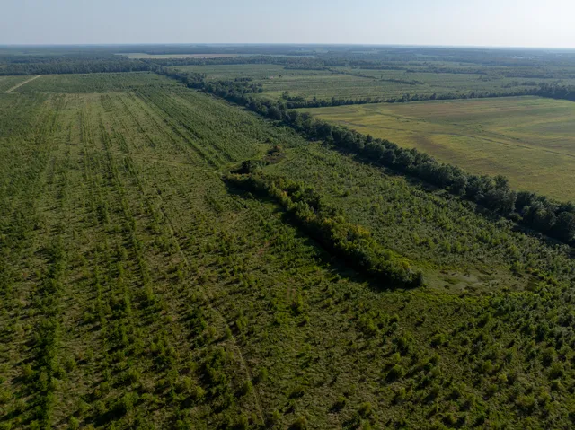 a view of an ocean and mountain