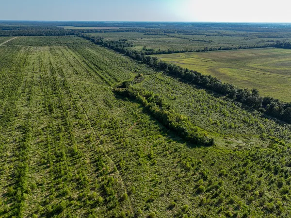 a view of a lush green field