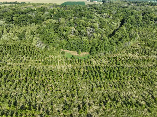 a view of a large yard with lots of green space