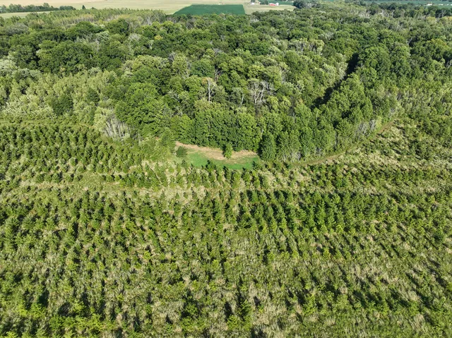 a view of a large yard with lots of green space