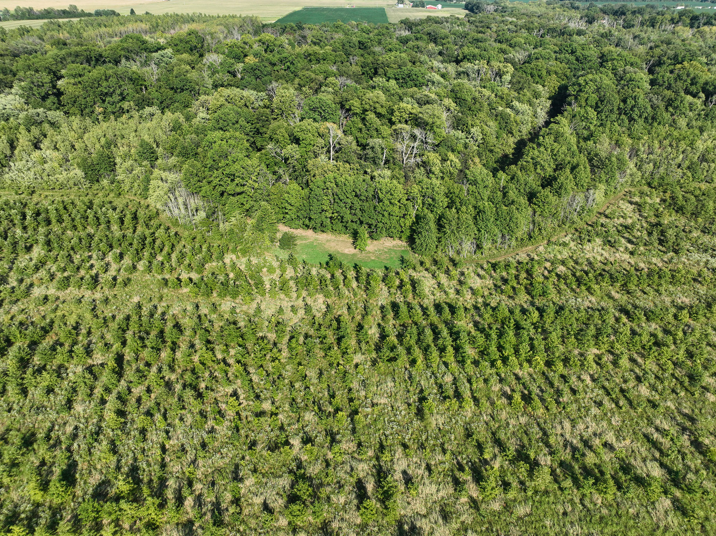 Tract 5 East Radio Tower Road Clay City, IL 62824 - Photo 18 of 30 a view of a lush green field