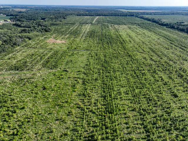 a view of a field with an ocean view