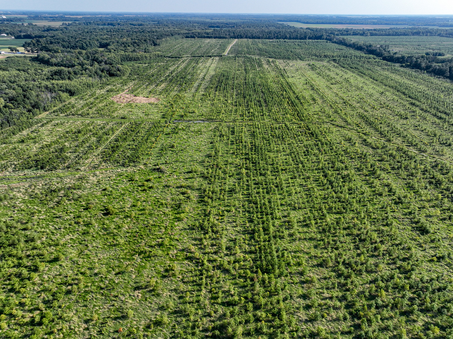 Tract 5 East Radio Tower Road Clay City, IL 62824 - Photo 20 of 30 a view of a field