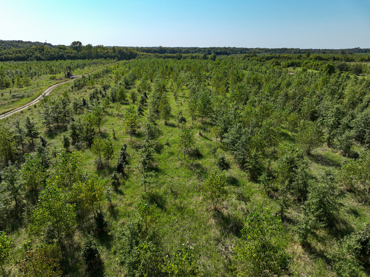 Tract 5 East Radio Tower Road Clay City, IL 62824 - Photo 2 of 30 a view of a lush green forest with a lake