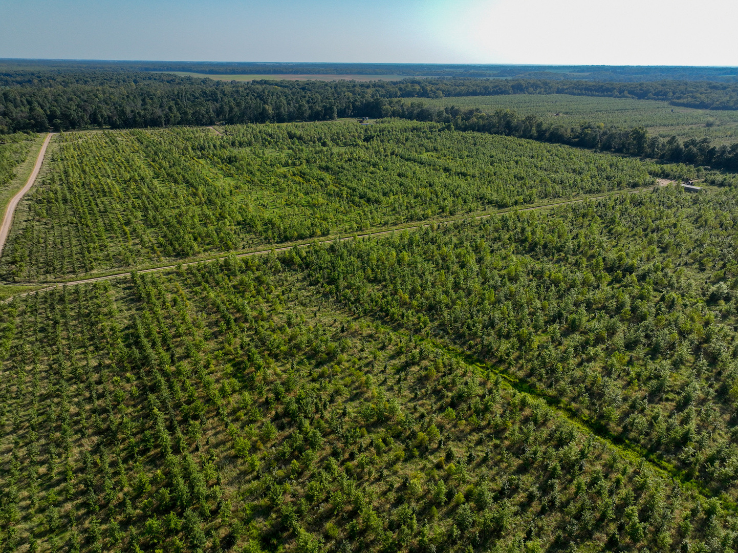 Tract 5 East Radio Tower Road Clay City, IL 62824 - Photo 21 of 30 a view of a field with an ocean view