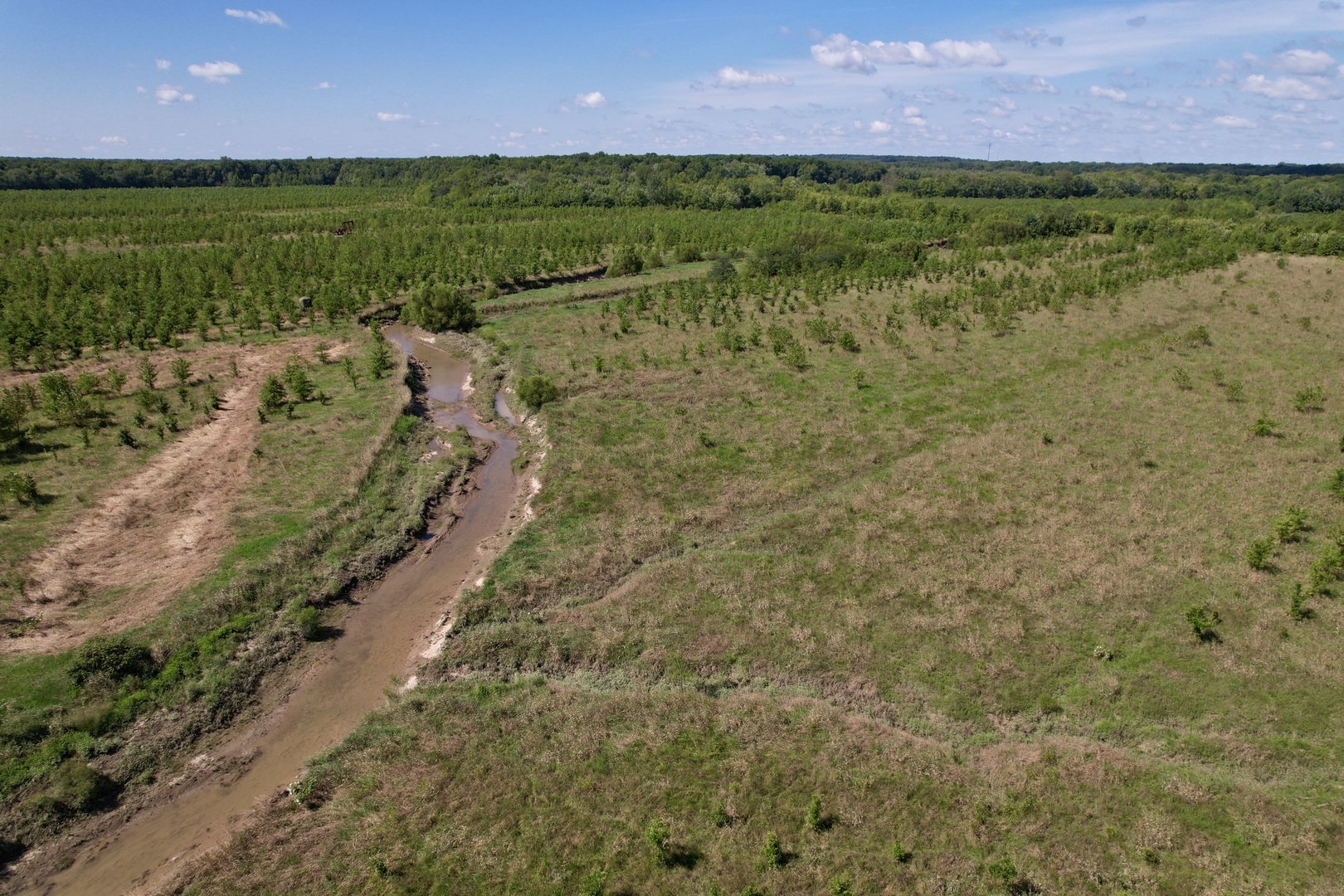 Tract 5 East Radio Tower Road Clay City, IL 62824 - Photo 22 of 30 a view of a pathway both side of grassy field with shrub