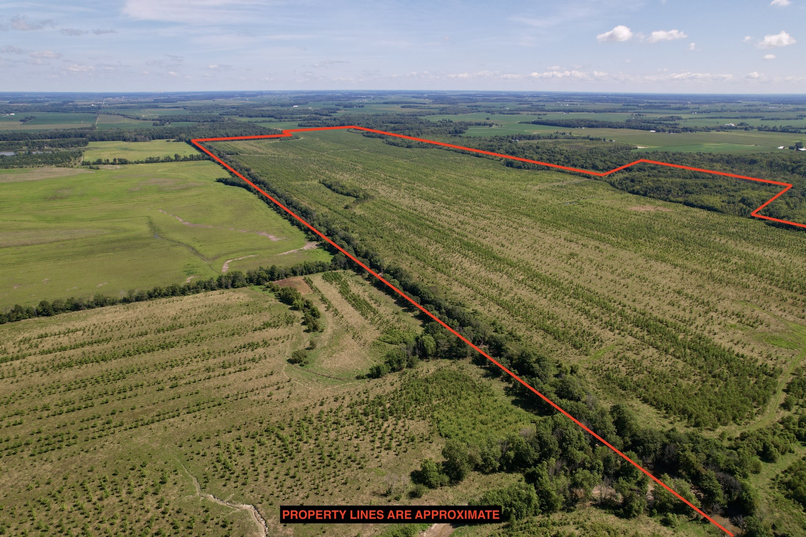 Tract 5 East Radio Tower Road Clay City, IL 62824 - Photo 26 of 30 a view of a field with an ocean view
