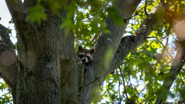 a view of bathroom from a bathroom