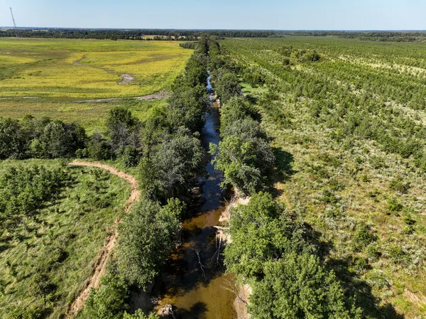a view of an ocean from a beach