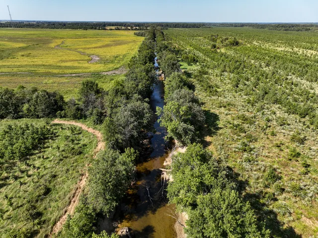 a view of an ocean from a beach