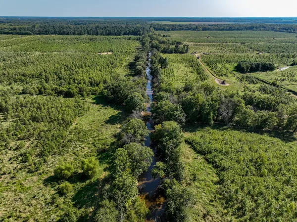 an aerial view of residential houses with outdoor space and trees