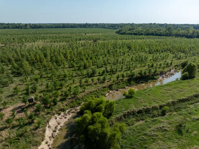 a view of a green field with lake view