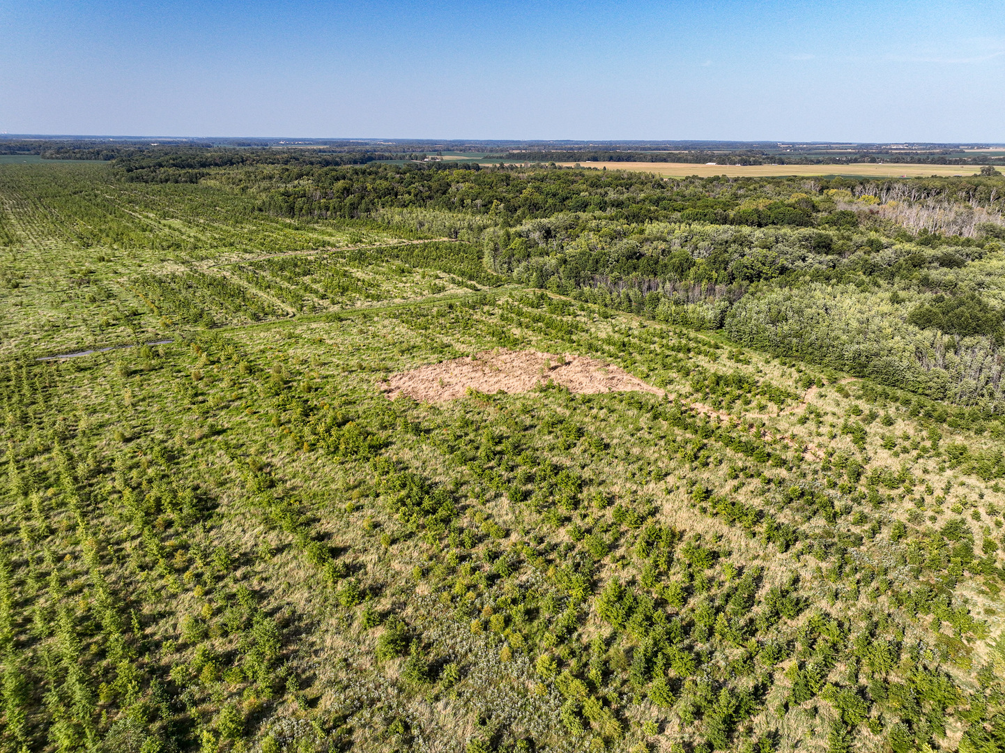 Tract 5 East Radio Tower Road Clay City, IL 62824 - Photo 7 of 30 a view of a yard with an outdoor space