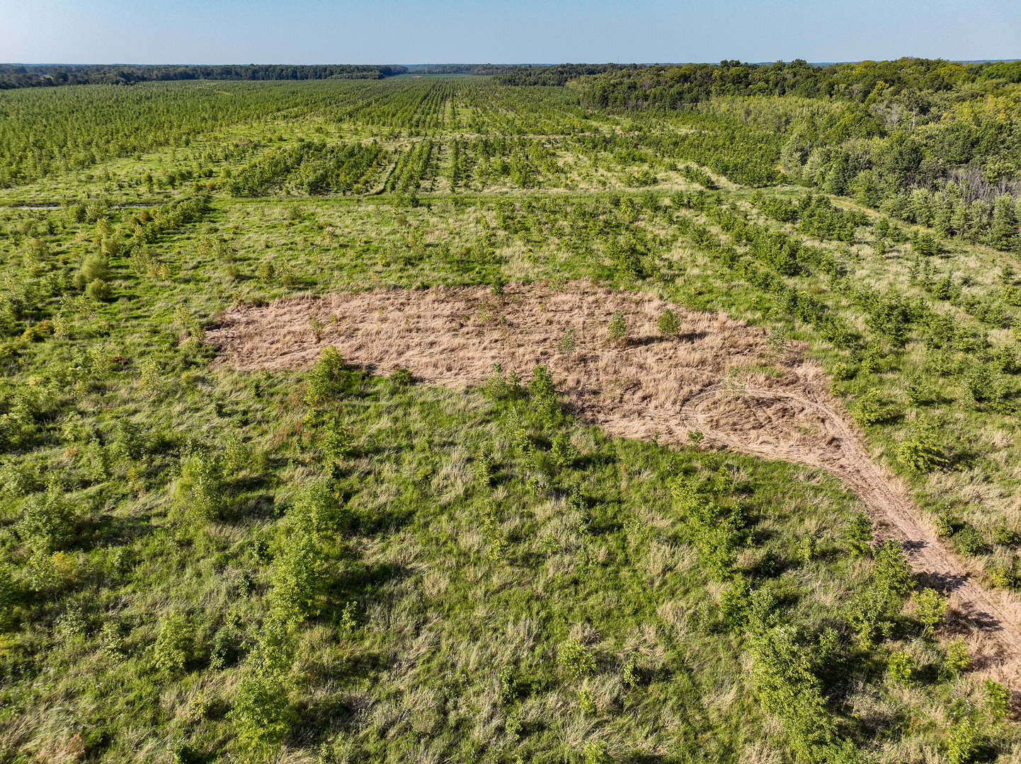 Tract 5 East Radio Tower Road Clay City, IL 62824 - Photo 8 of 30 a view of a green field with lots of bushes