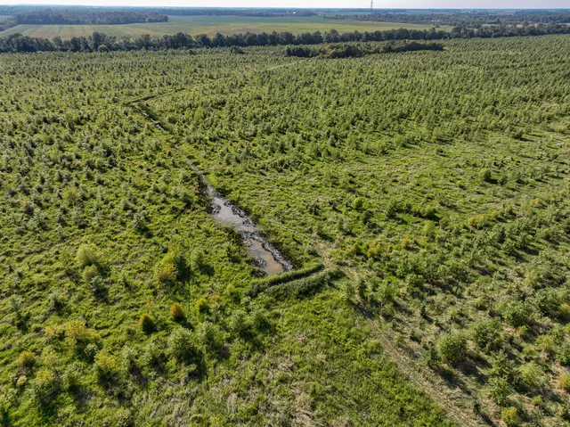 a view of a field with an outdoor space