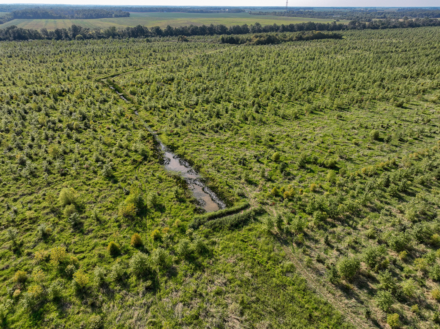 Tract 5 East Radio Tower Road Clay City, IL 62824 - Photo 9 of 30 a view of a field with an outdoor space