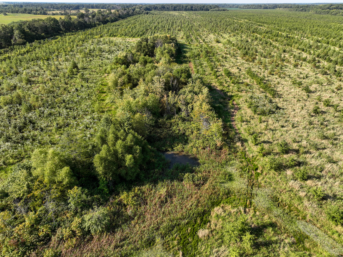 Tract 5 East Radio Tower Road Clay City, IL 62824 - Photo 10 of 30 a view of a yard