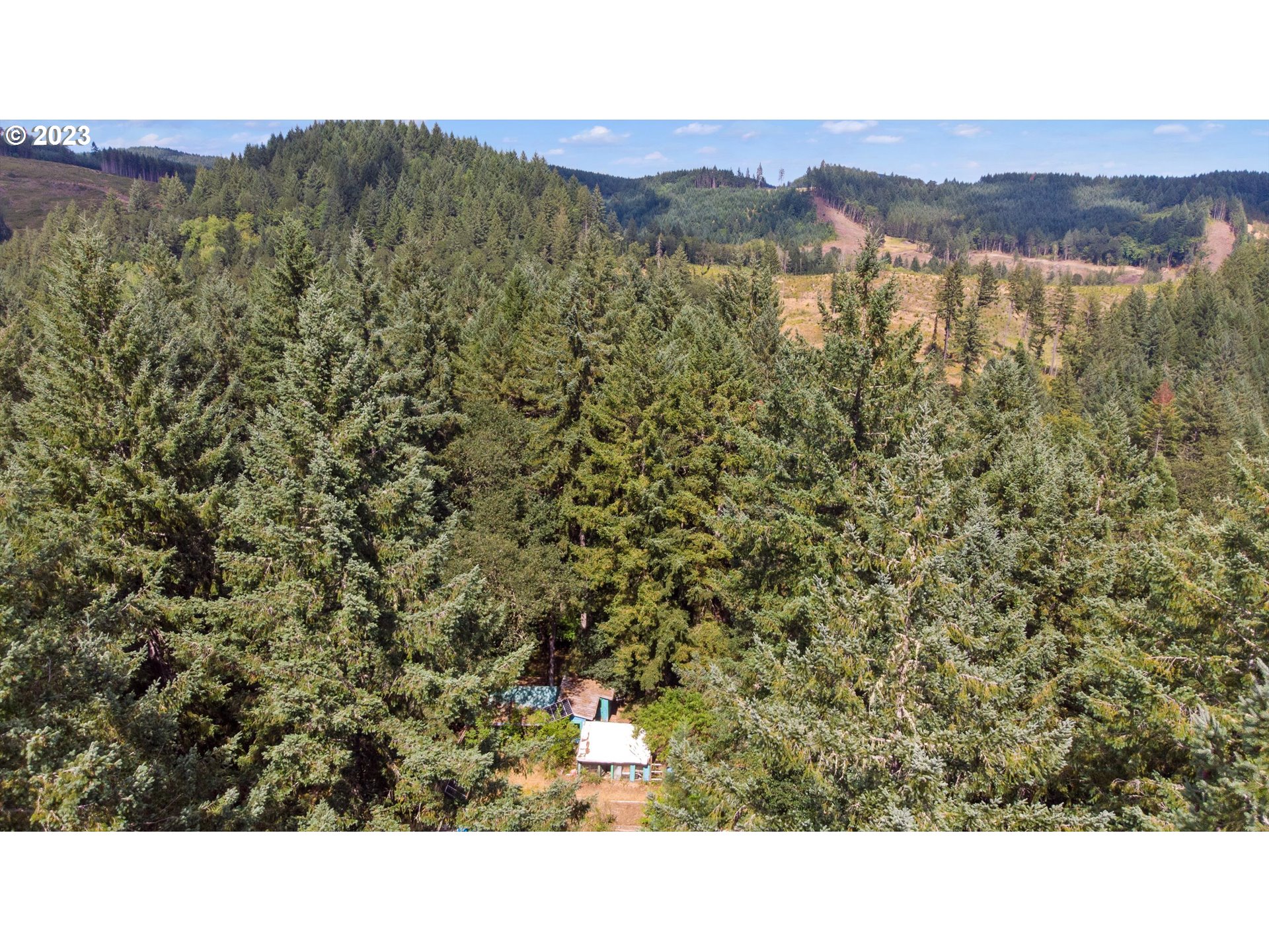 27801 Thomson Mill Road Sheridan, OR 97378 - Photo 5 of 9 a black and white photo of a field