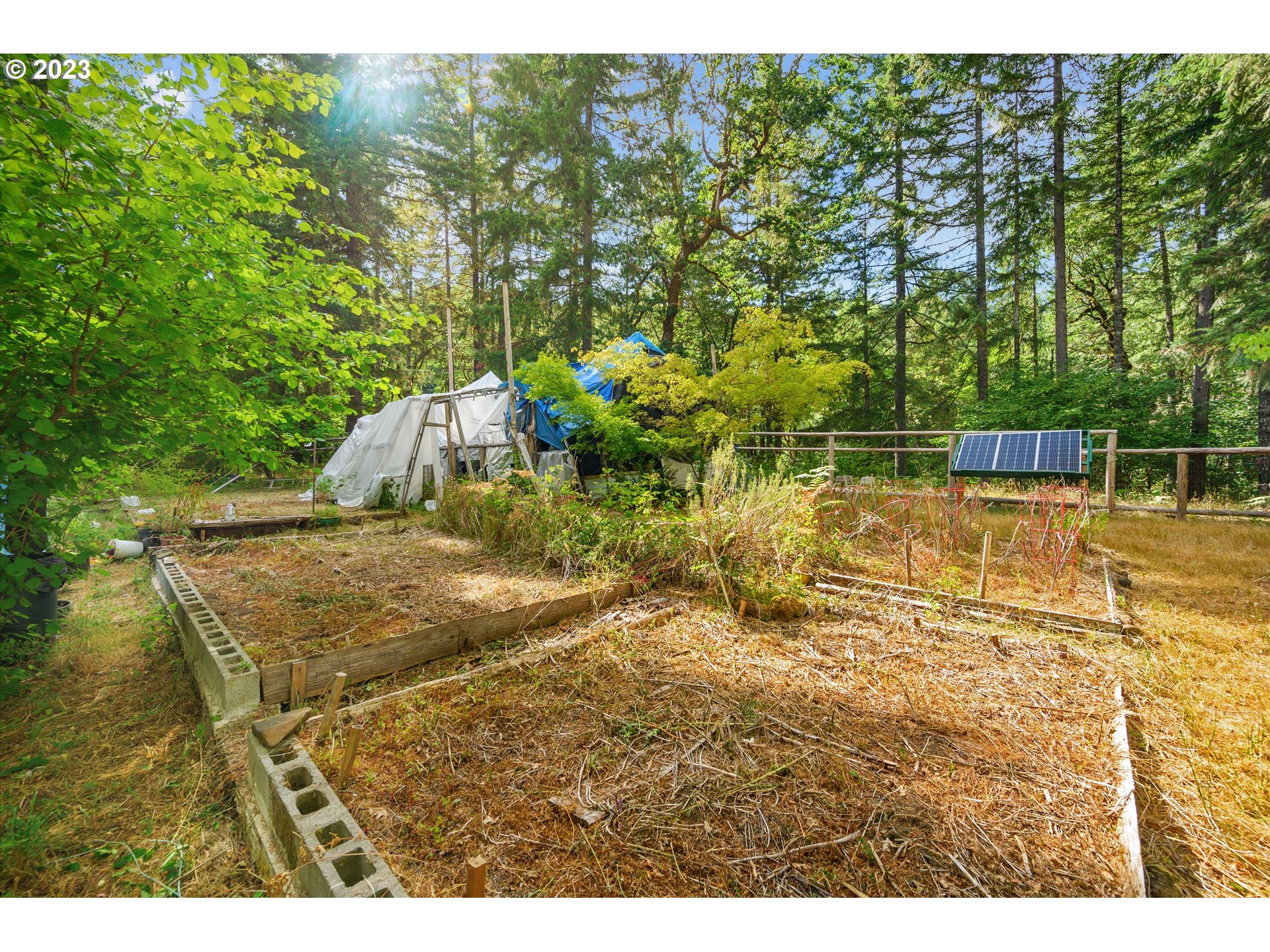 27801 Thomson Mill Road Sheridan, OR 97378 - Photo 7 of 9 a view of yard