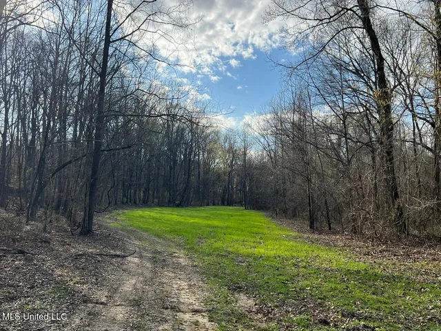 $650,000 | South Fogg Road South, Hernando, MS 38632