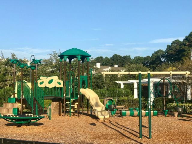 1725 James Basford Place Mount Pleasant, SC 29466 - Photo 48 of 51 Park West - Playground