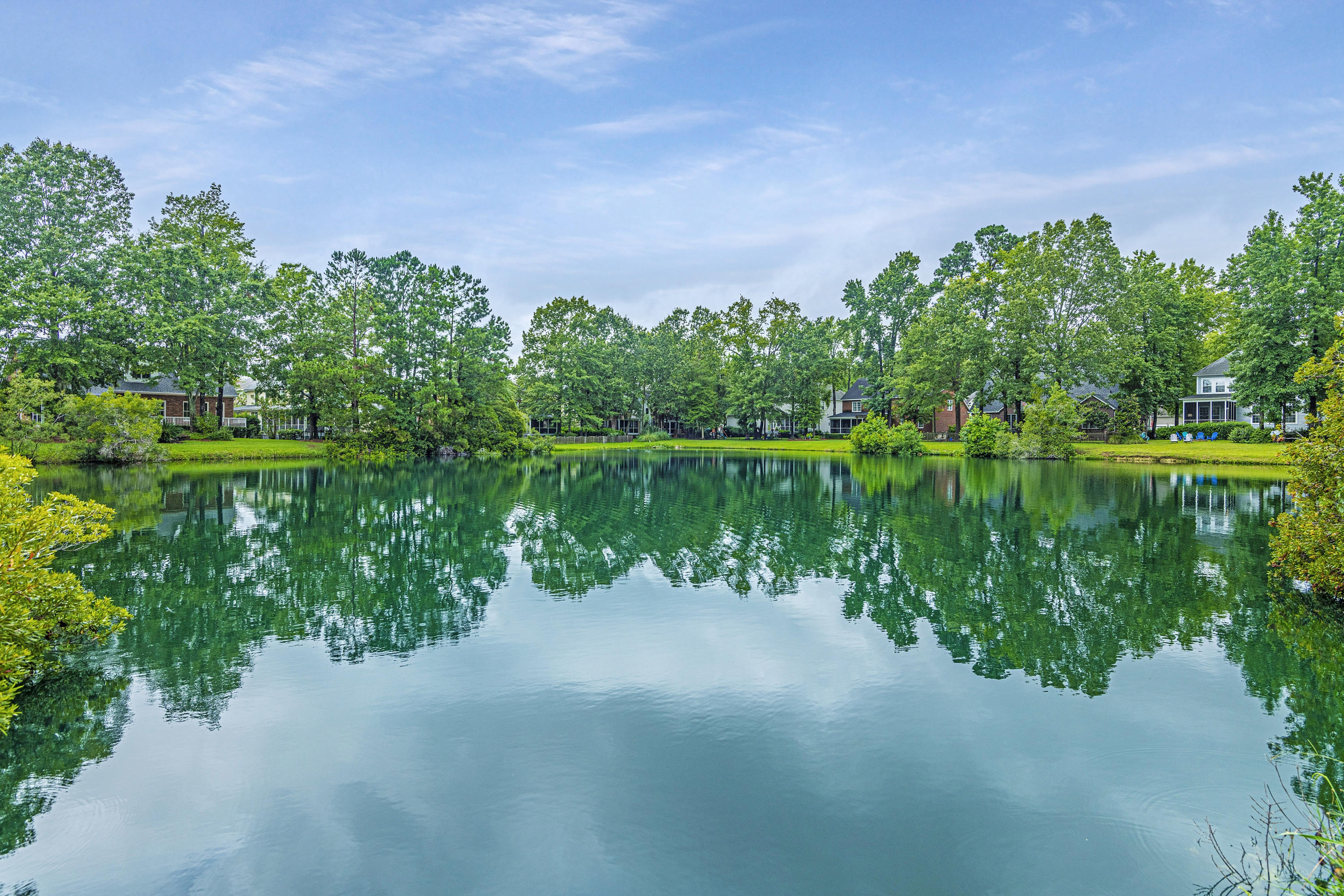1725 James Basford Place Mount Pleasant, SC 29466 - Photo 8 of 51 Pond View